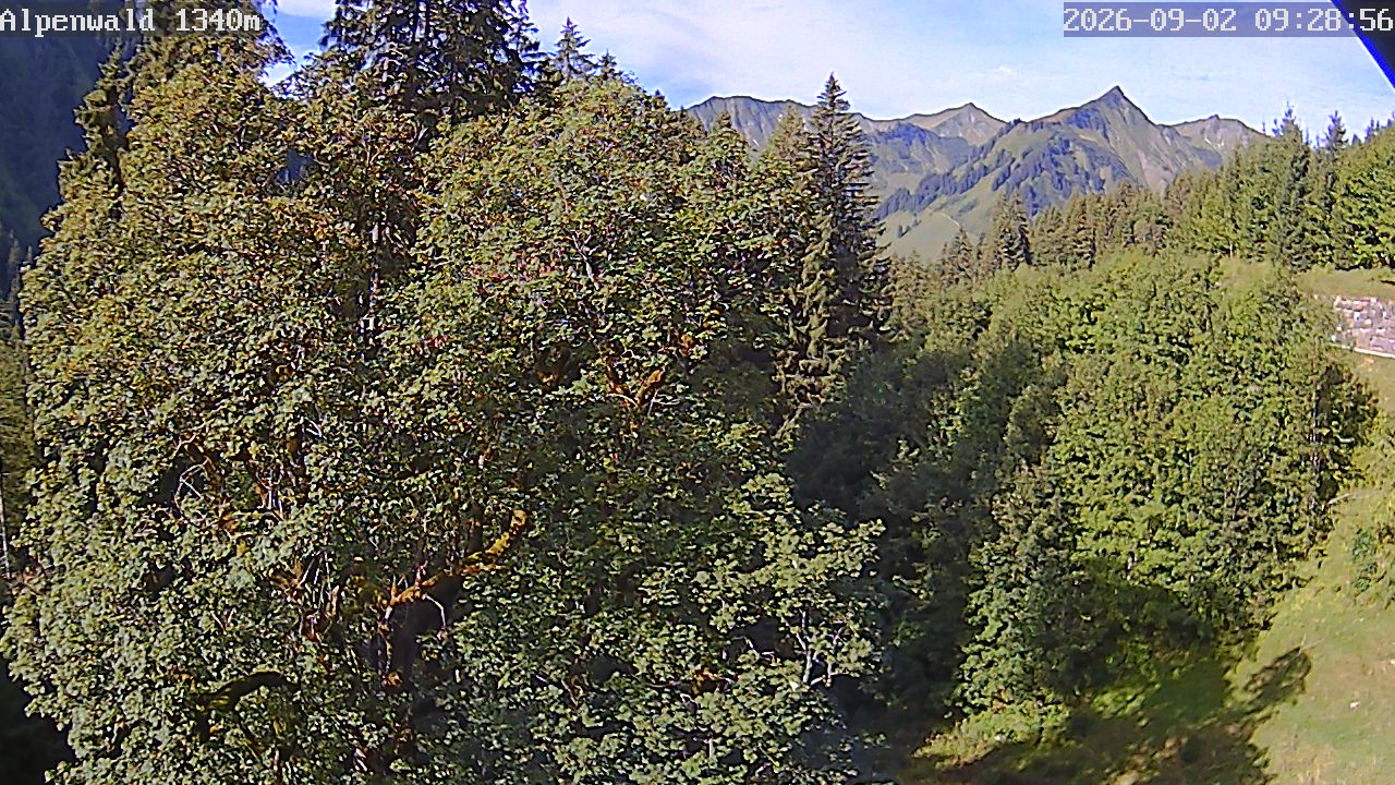 Image: Gasthof Alpenwald